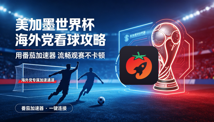 在国外怎么使用国内的小程序软件教程