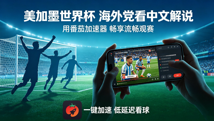 在英国看抖音世界杯当前IP受限制教程